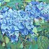 ' Blue Hydrangeas' pastel<br />18 x 24 inches